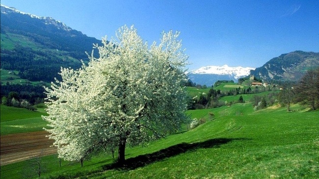 baumberge_sommer-1.jpg