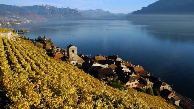 leman1-1.jpg