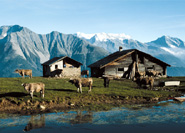Riederalp Riederalp