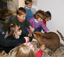 Foto: Naturama