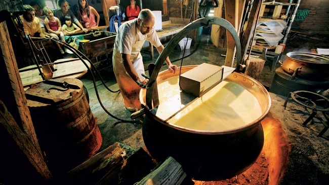 Swiss cheeses