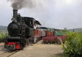 Dampfeisenbahn