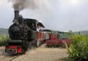 Dampfeisenbahn