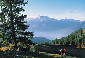 Randonneurs au-dessus de Leysin dans les Alpes vaudoises. Au fond le massif des Dents-du-Midi (3257 m). Randonneurs au-dessus de Leysin dans les Alpes vaudoises. Au fond le massif des Dents-du-Midi (3257 m).