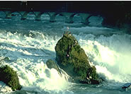 The Rhine Falls at Neuhausen near Schaffhausen have attracted visitors for decades. The rock in the middle marks the border between the cantons of Zurich and Schaffhausen.