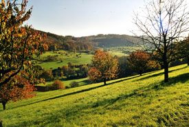 Foto: Dreiklang