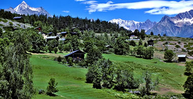 L'hameau dAlt-Zeneggen avec lEggwald (au fond les montagnes des alpes bernoîses : Bietschhorn, Wiwannihorn  et le Lötschentaler Breithorn).