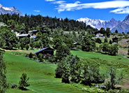 L'hameau dAlt-Zeneggen avec lEggwald (au fond les montagnes des alpes bernoîses : Bietschhorn, Wiwannihorn  et le Lötschentaler Breithorn).