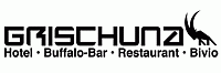 Hotel Grischuna, Buffalo Bar in Bivio