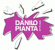 Piano Bar Danilo in Savognin