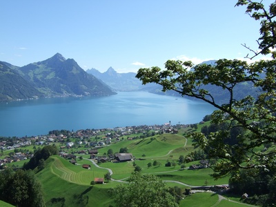 Beckenried ab Obersassi