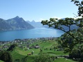 Beckenried ab Obersassi