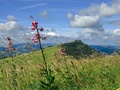 Le Chasseron - © Christophe Carisey