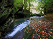 © Claude Jaccard / www.vaud-photos.ch
