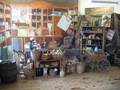 Museum von Concise