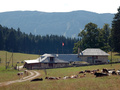 Buvette La Thiolle - © Claude Jaccard / www.vaud-photos.ch