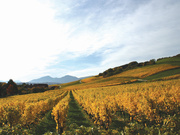 Bonvillars