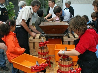 Fête du Raisin