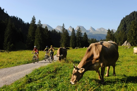 Biken Toggenburg