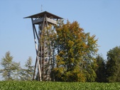 Wiler Turm