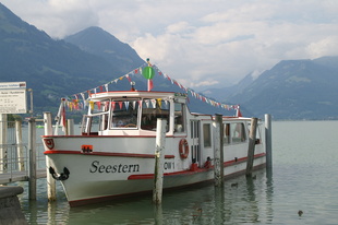 Schiff Seestern