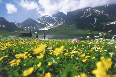 Bergfrühling auf Melchsee-Frutt