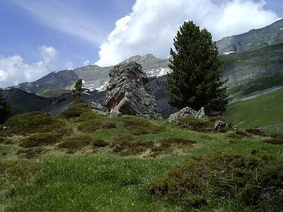 Kraftort Engstlenalp
