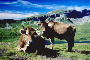 Ob- und Nidwalden