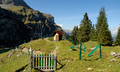 Zwärgliweg Bannalp