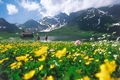 Melchsee-Frutt Bergfrühling