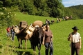 Sbrinz-Route Lungern - Brünig