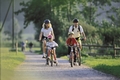 Velofahren mit der Familie
