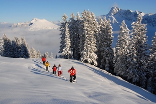 Goldiger Winter auf der Klewenalp