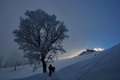 Sentiers pour raquettes à neige dans la région du lac des Quatre-Cantons