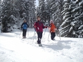 Wirzweli Schneeschuhwanderung
