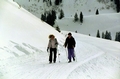 Winter hiking trail on Mount Klewenalp
