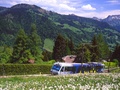 © GoldenPass Services