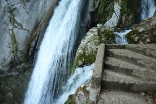 Risletenschlucht Beckenried