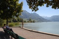 Fischen am Sarnersee