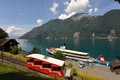 FamilyGoldiSafari with train, bus and boat