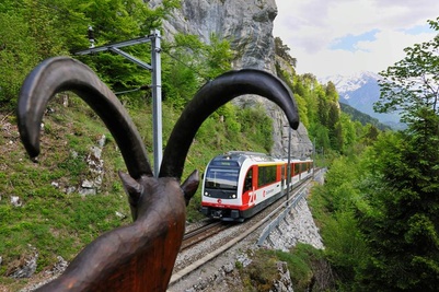 Die Brünig Safari der Zentralbahn