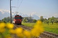 Die Zentralbahn unterwegs in Obwalden