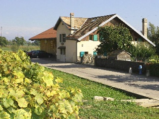 © Domaine des Souches de Bamajo à Féchy