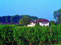 © Domaine du Crêt-Blanc, Echichens