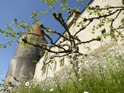 Schloss von Yverdon-les-Bains