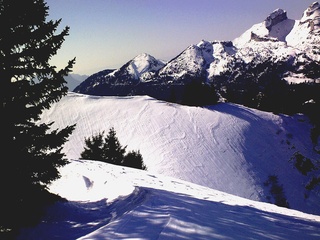 © MVT