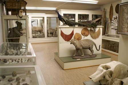 Museum Heiden