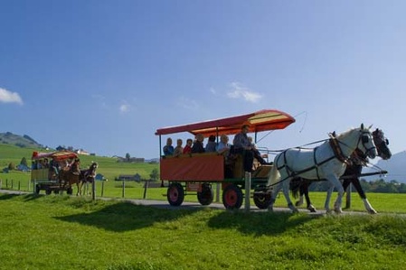 Pferdefahrten und Reitausflüge