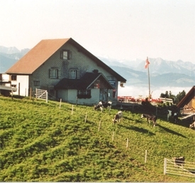 Bergrestaurant Atzmännig - Goldingen - Lake Zurich region