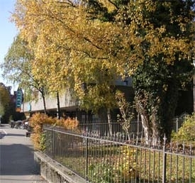 Drei Linden - Wetzikon - Lake Zurich region